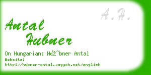antal hubner business card
